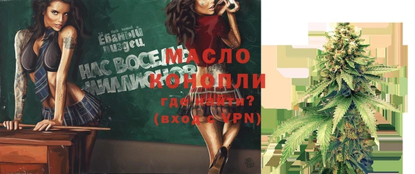 дмт Няндома