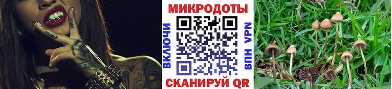 Псилоцибиновые грибы прущие грибы  Купить  Новоржев 